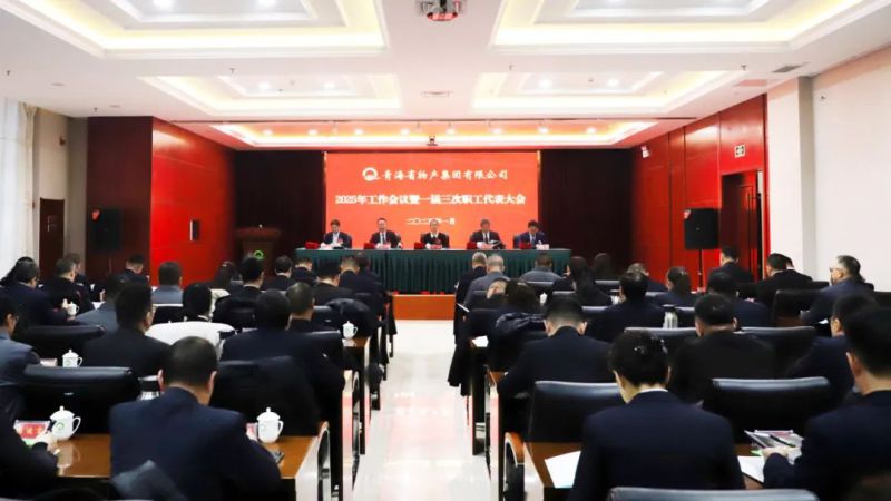 坚定信心促发展 实干争先攀新高——省6732顶级游戏娱乐集团2025年工作会议暨一届三次职代会胜利召开