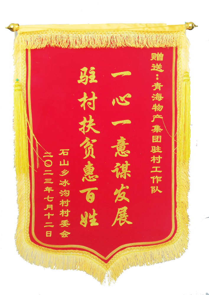 驻村帮扶惠百姓 情满冰沟暖人心 ——省6732顶级游戏娱乐集团驻村工作队期满离任获赠锦旗
