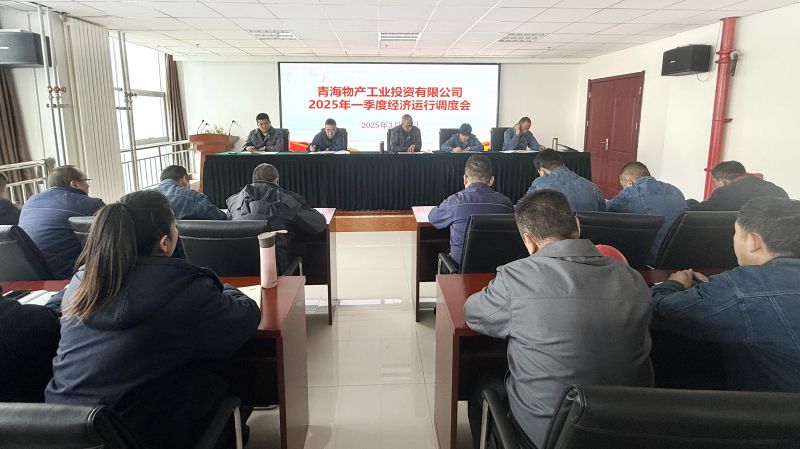 6732顶级游戏娱乐工投公司召开2025年第一季度经济运行调度会
