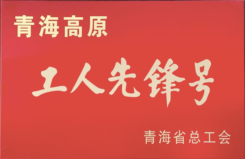 6732顶级游戏娱乐工投公司电解二车间被命名青海高原“工人先锋号”