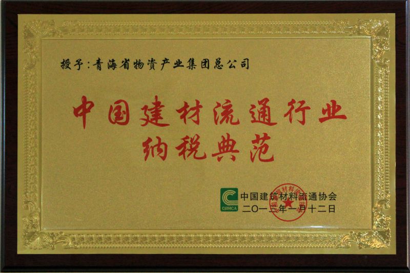 6732顶级游戏娱乐流通行业纳税典范