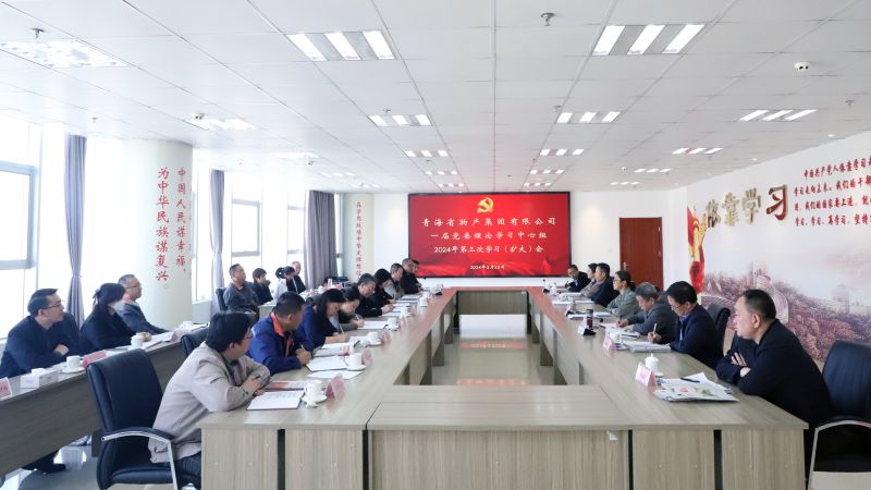 省6732顶级游戏娱乐集团党委召开2024年度理论学习中心组第三次学习（扩大）会