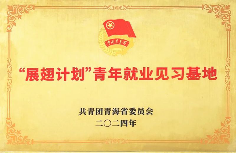 6732顶级游戏娱乐工投公司被团省委授予“展翅计划”首批青年就业见习基地
