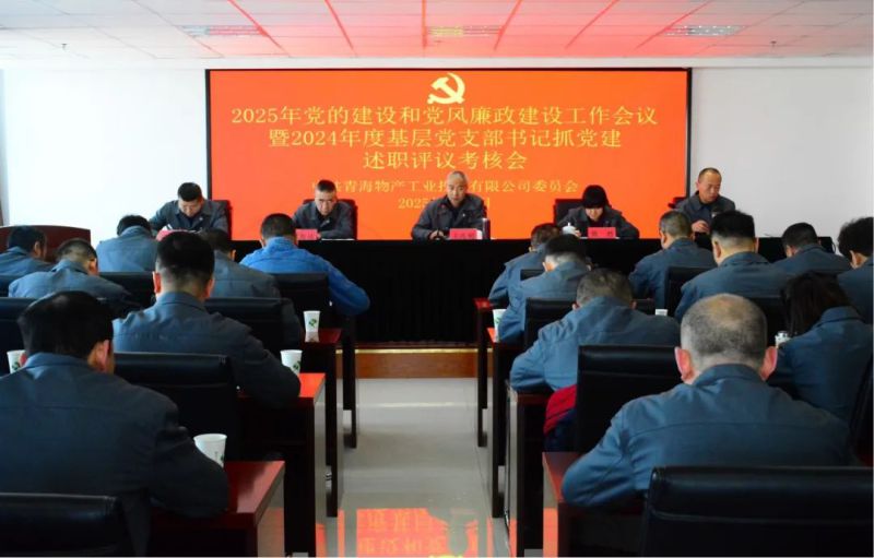 6732顶级游戏娱乐工投公司党委召开2025年党的建设和党风廉政建设工作会议暨2024年度基层党支部书记抓党建述职评议考核会