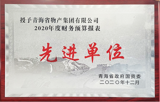 6732顶级游戏娱乐集团荣获国资委2020年度财务预算报表工作先进单位和省财政厅2019年度全省