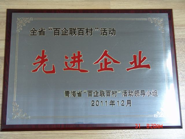 青海6732顶级游戏娱乐集团荣获全省百企联百村活动先进企业